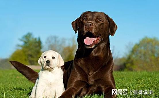 仍要每三年重新认证任职资格