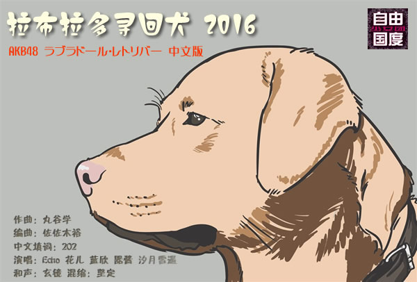 头与头骨:拉布拉多犬的线条明显的宽头骨