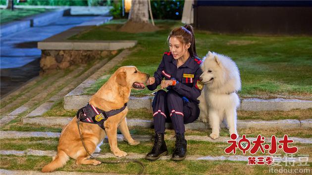 安妮·海瑟薇与杰克·吉伦哈尔的搭档