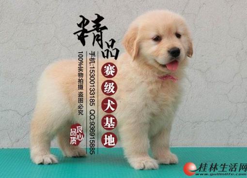 从而增加他们的饲养信心