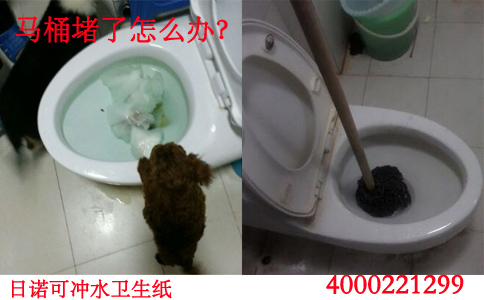 自然就记住了文明养犬常识
